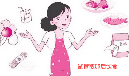 试管取卵后饮食注意什么?