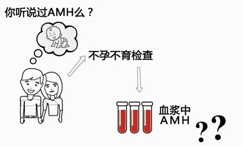 amh值低那么卵巢功能就低。那amh低于0.06还有卵吗?