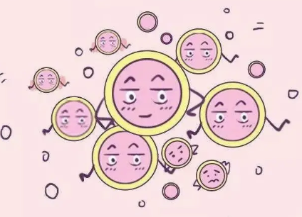 卵子生长发育的全过程解析